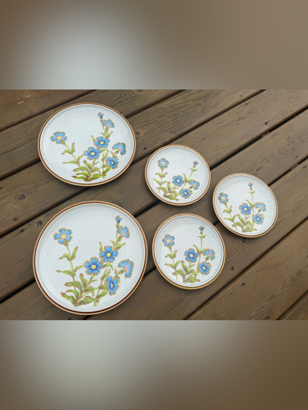 Mikasa Natural Beauty Cornflower 2 Dinner Plates & 3 Salad Set, C9007
